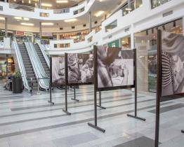 Světový týden kojení oslaví Baťova nemocnice v obchodním centru