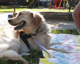Dům dětí a mládeže Sluníčko připravil pro děti Den bez aut