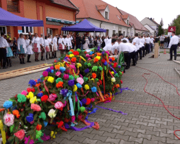 Májku vysokou 22 metrů se v Ostrožské Nové Vsi podařilo postavit i dešti navzdory