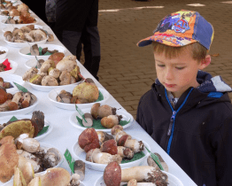 Na Salaši se vystavovaly houby
