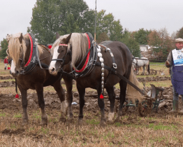Kunovice hostily Mistrovství České republiky v orbě. S rozmočenou půdou bojovalo 51 oráčů