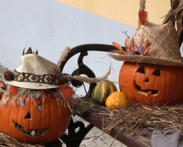 Kyjovské informační centrum uspořádalo Dýňobraní