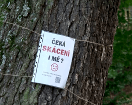 Proměna Panské zahrady ve Vsetíně. Architekti prověřují připomínky občanů