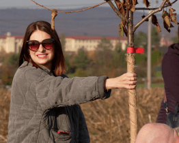Alej života lemuje cyklostezku do Vlkoše