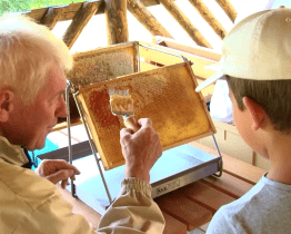 Včelař Petr Chytil se stal Osobností EVVO Zlínského kraje