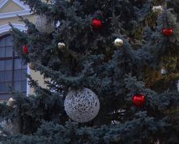 Vánoční strom je letos z Hodonína