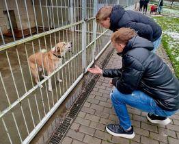 Vánoční tradice v útulku. Ševci podpořili opuštěná zvířata