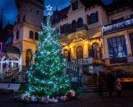 Štědrý den ve zlínské zoo: dárky pro návštěvníky i zvířata 