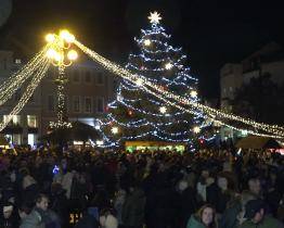 Vánoční strom letos pochází ze Štěpnic