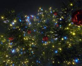 Vánoční stromeček se v Hulíně rozsvítil na první adventní neděli