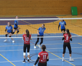 Lvíčata Austinu porazila v derby Hošťálkovou