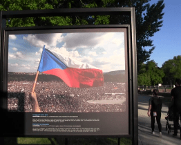 Ve veselském přístavu jsou k vidění vítězné snímky ze soutěže Czech Press Photo