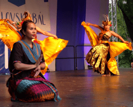 Na Světlovském bále zatančila skupina Kintari