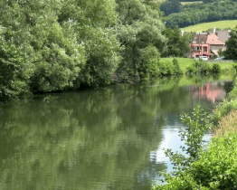 Zlínští rybáři připravují zarybnění řeky Dřevnice