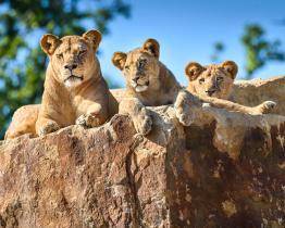 Zlínskou zoo od začátku roku navštívilo 700 000 lidí. Padne letos rekord?