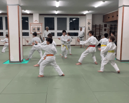 Alcedo láká děti do více než 90 zájmových kroužků