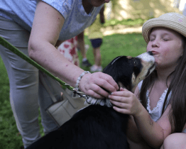 Pěstounství je také cesta, hlásal Den pro rodinu