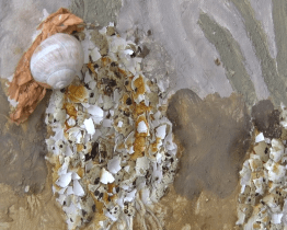 Gynekologicko-porodní oddělení zdobí obrazy ze soutěže Čarovné barvy země