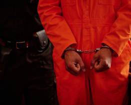 Recidivista ze Zlínska chtěl ukrást baskřídlovku i traktor. Zalekl se svědka