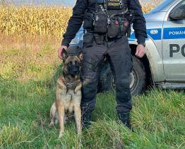 Policejní pes Kid zachránil život ztracenému myslivci. Našel ho promrzlého a zraněného v kukuřičném poli