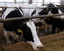 Topagra z Topolné pozvala veřejnost na Den otevřených dveří