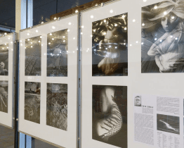 Věhlasný fotograf Petr Sikula vystavuje své fotografie z let 1976-1983