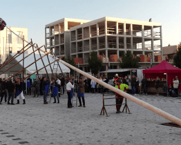 Veselská májka měří 23 metrů a pochází z Kuželova