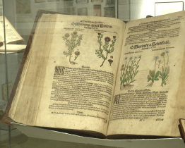 Příběh Mattioliho herbáře a fotograf Jindřich Buxbaum lákají do muzea