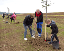 Obyvatelé Otrokovic vysadili v lokalitě Jaříč 58 nových ovocných stromů