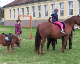 Odpoledne statkářství a řemesel nabídlo šlapání hroznů i jízdu na koni