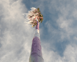 Hodové období ve Veselí definitivně ukončilo pokácení máje