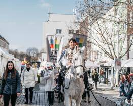 Svatomartinské hody ve Zlíně nabídnou husí speciality, mladá vína i bohatý kulturní program