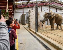 Zlínská zoo zve na speciální prohlídky chovného zařízení pro slony
