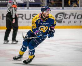 Beranům vypomůže liberecký obránce Aubrecht, extraligu si může zahrát Hanousek 