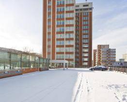 Baťův mrakodrap bude mít poprvé v historii svůj vlastní vánoční strom