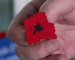 Přijďte si pro vlčí mák – Uherský Brod se připojuje k akci pro válečné veterány