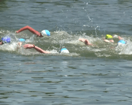 Plavecký oddíl z Hodonína ovládl počtvrté Český pohár v dálkovém plavání