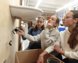 Tradice a řemesla na Valašsku se prezentovaly na SPŠS