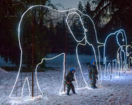 Děti do 12 let mají o Vánocích vstup do zlínské zoo jen za korunu