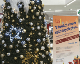 Strom splněných přání se rozsvítil, radost dělá především dětem