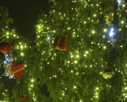 Vánoční strom osvětlil Masarykovo náměstí v Kyjově