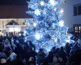 Místní věří, že jejich vánoční strom bude nejhezčí v republice
