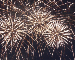 Charitativní prodej občerstvení vynesl přes čtvrt milionu korun