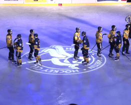 Dorost Vsetína porazil Berany Zlín 6:2 