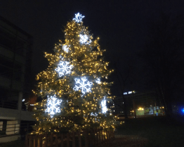 Baťův mrakodrap má poprvé vlastní vánoční strom