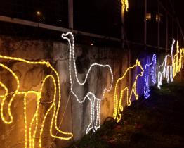 Světelný betlém a zoo budou zářit až do Tří králů