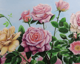 Magazín Hodonín 17. 1. 2026