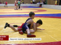 Zápasníci hodonínského Sokola vybojovali na žíněnkách 10 medailí