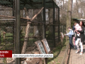 Zoo Hodonín znovuotevřela pavilon ptactva