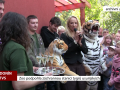 Zoo podpořila záchrannou stanici tygrů usurijských